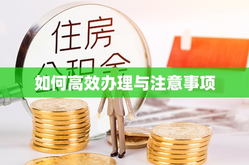 滨州如何高效办理与注意事项