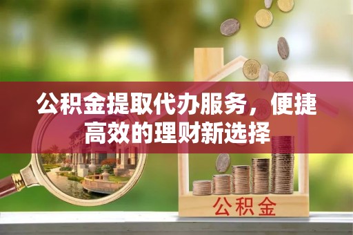 滨州公积金提取代办服务，便捷高效的理财新选择