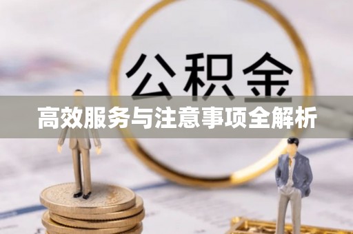 滨州高效服务与注意事项全解析