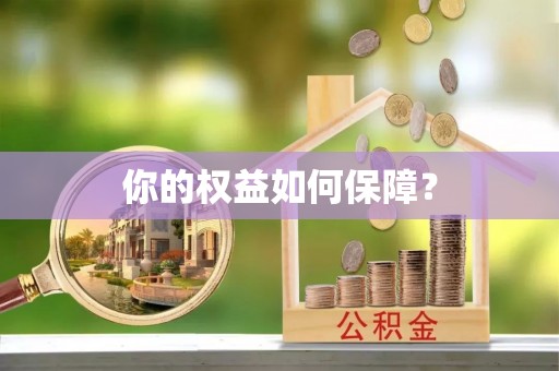滨州你的权益如何保障？