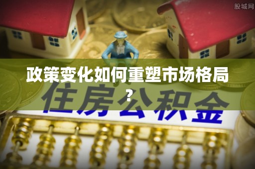 滨州政策变化如何重塑市场格局？