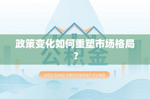 滨州政策变化如何重塑市场格局？