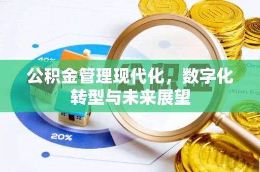 滨州公积金管理现代化，数字化转型与未来展望