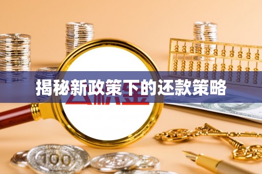 滨州揭秘新政策下的还款策略