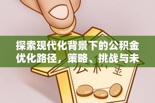 滨州探索现代化背景下的公积金优化路径，策略、挑战与未来展望