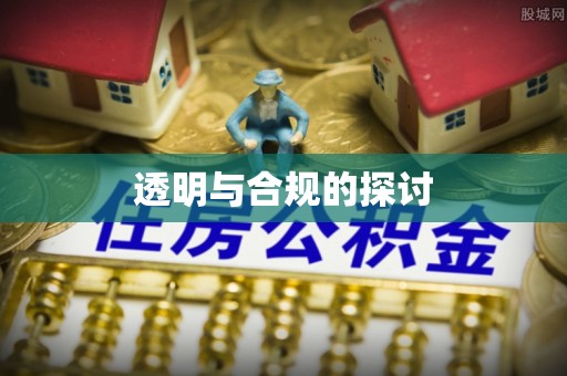 滨州透明与合规的探讨