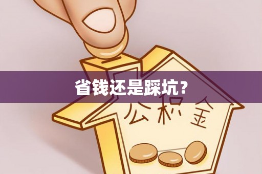 滨州省钱还是踩坑？