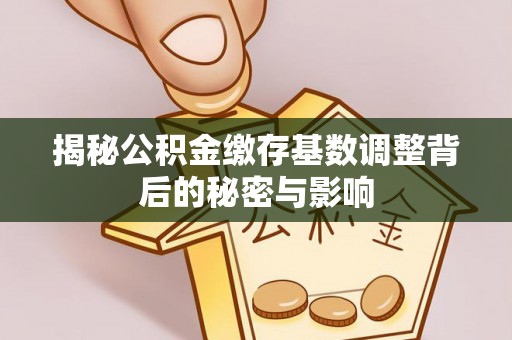 滨州揭秘公积金缴存基数调整背后的秘密与影响