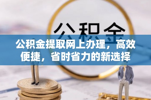 滨州公积金提取网上办理，高效便捷，省时省力的新选择