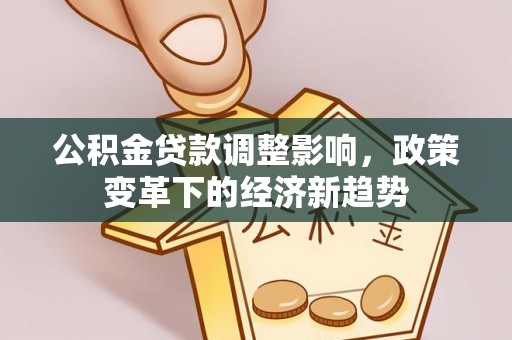 滨州公积金贷款调整影响，政策变革下的经济新趋势