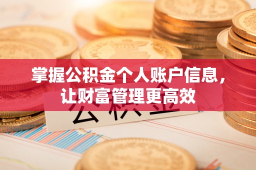 滨州掌握公积金个人账户信息，让财富管理更高效