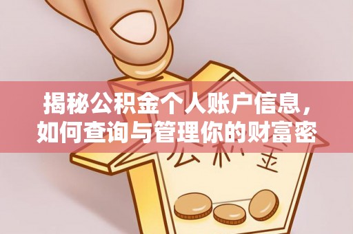 滨州揭秘公积金个人账户信息，如何查询与管理你的财富密码