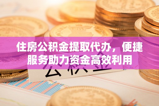 滨州住房公积金提取代办，便捷服务助力资金高效利用