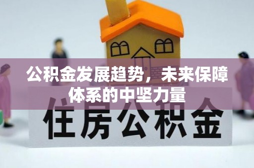 滨州公积金发展趋势，未来保障体系的中坚力量