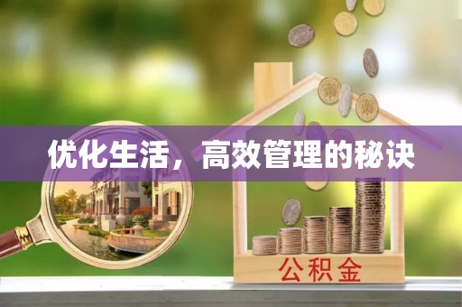 滨州优化生活，高效管理的秘诀