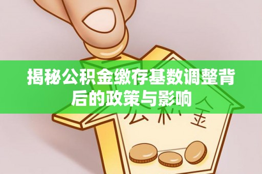 滨州揭秘公积金缴存基数调整背后的政策与影响