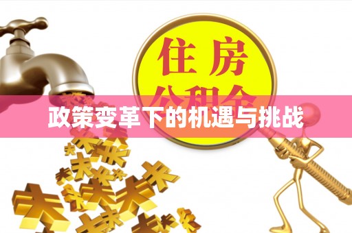滨州政策变革下的机遇与挑战