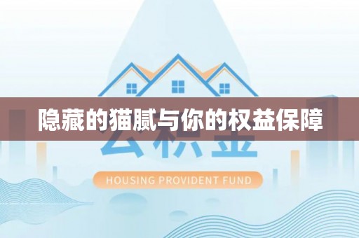 滨州隐藏的猫腻与你的权益保障