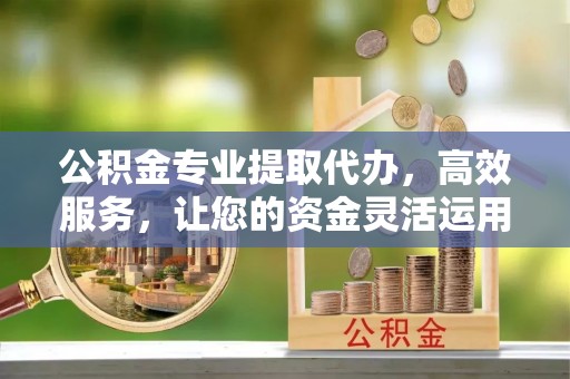 滨州公积金专业提取代办，高效服务，让您的资金灵活运用