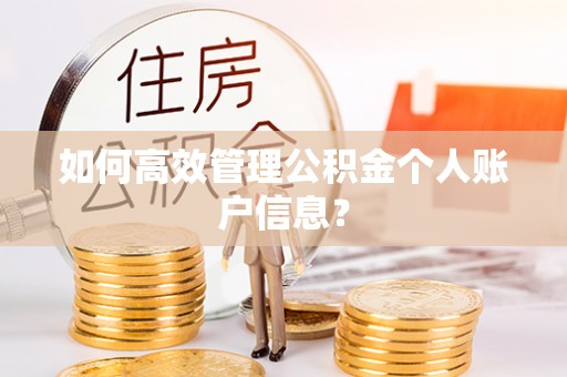 滨州如何高效管理公积金个人账户信息？