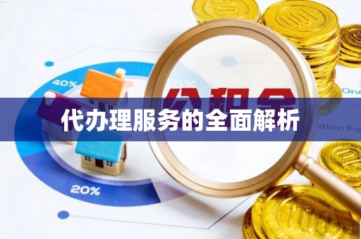 滨州代办理服务的全面解析