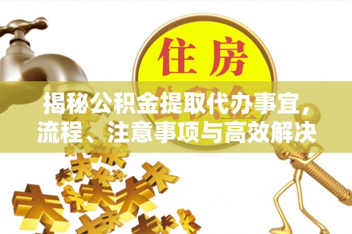 滨州揭秘公积金提取代办事宜，流程、注意事项与高效解决方案
