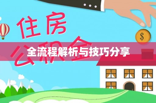 滨州全流程解析与技巧分享