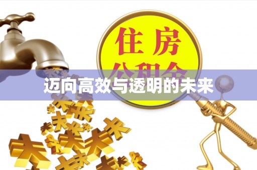 滨州迈向高效与透明的未来