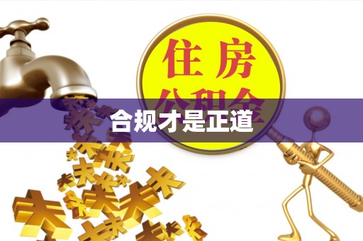 滨州合规才是正道