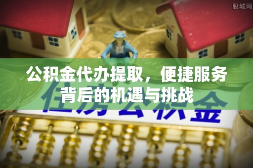 滨州公积金代办提取，便捷服务背后的机遇与挑战