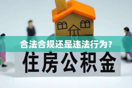 滨州合法合规还是违法行为？