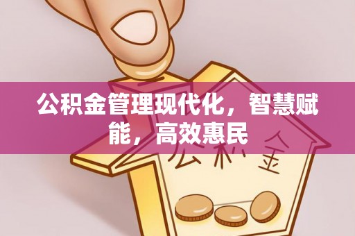 滨州公积金管理现代化，智慧赋能，高效惠民