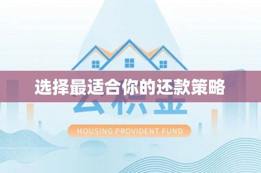 滨州选择最适合你的还款策略
