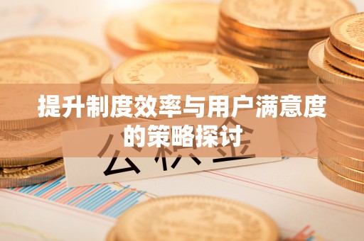 滨州提升制度效率与用户满意度的策略探讨